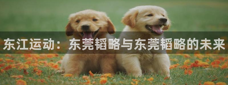 意昂5(KGAME)科技：东江运动：东莞韬略与东莞韬