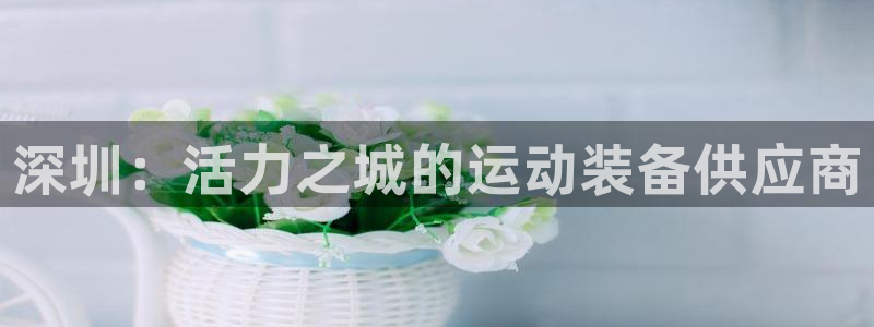 意昂5(KGAME)五金厂：深圳：活力之城的运动装备供应商