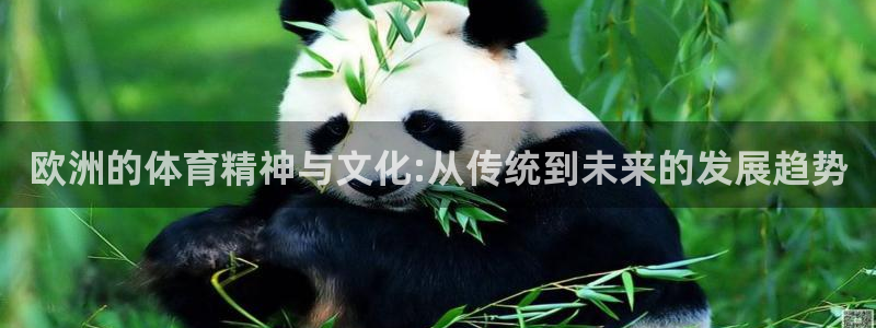 三亿体育网