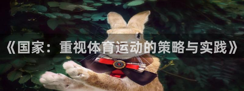 三亿体育网