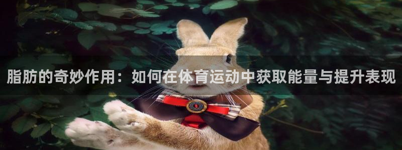 三亿体育网