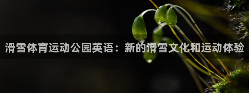 三亿体育网