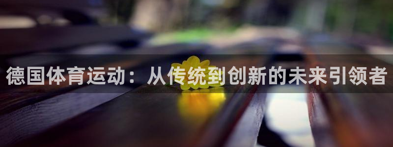 三亿体育