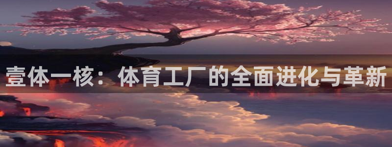 三亿体育