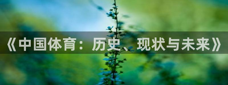 三亿体育登录