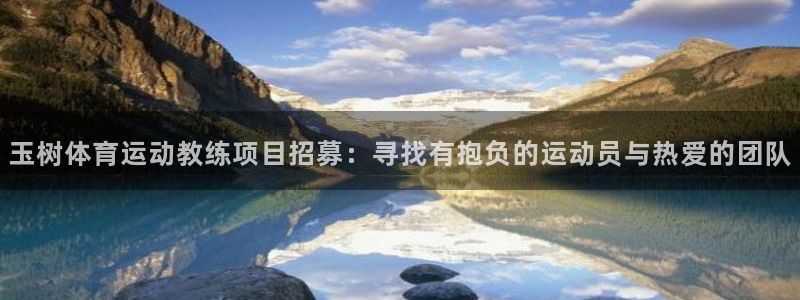 三亿体育网
