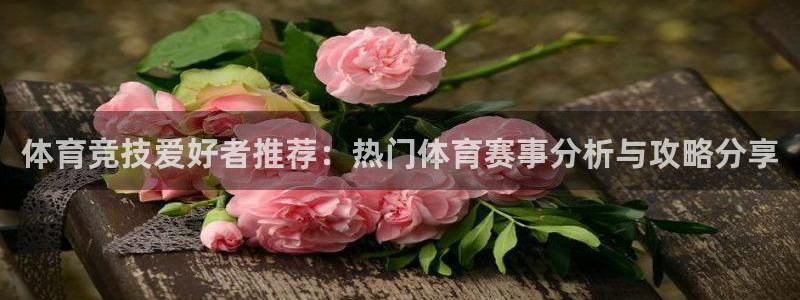 三亿体育