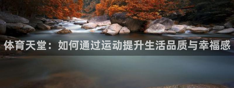 三亿体育网