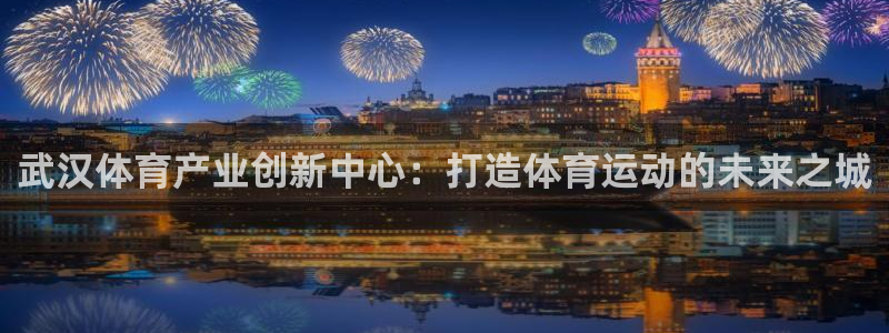 三亿体育
