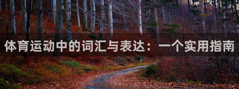 三亿体育