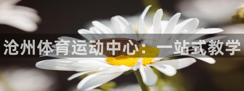 三亿体育