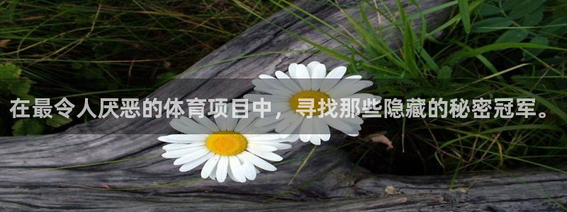 三亿体育登录