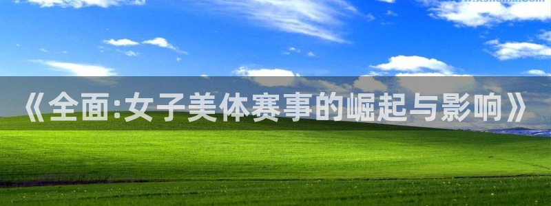 三亿体育