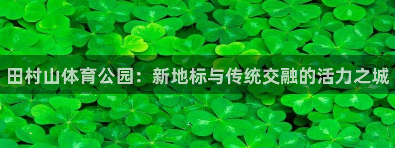 三亿体育网