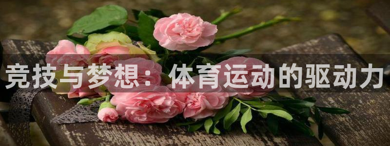 三亿体育