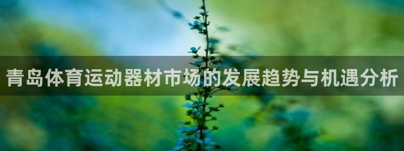 三亿体育